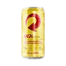 Cerveja Pilsen Skol 269ml