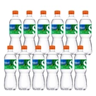 Água Mineral com Gás Select 510ml