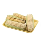 Milho Verde Bandeja 800g