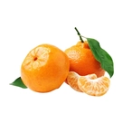 Mexerica Ponkan 220g