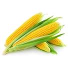 Milho Verde 300g