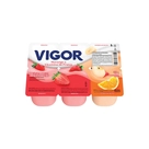 Bebida Láctea Polpa Vigor Morango e Vitamina 480g