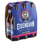 Cerveja Eisenbahn Premium IPA LN 355ml - Pack 6 unidades