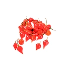 Pimenta Biquinho em Conserva - 100g