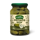 Pepino Cepêra Vidro 300g