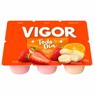 Bebida Láctea Fermentada Morango + Vitamina de Frutas Todo Dia Vigor 510g 6 Unidades