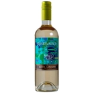 Vinho Branco Chileno Suave Reservado Santa Carolina 750ml