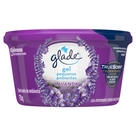 Odorizador de Ambiente Gel Lavanda Glade 70g