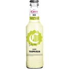 Bebida Mista Alcoólica Tropicália Corote Ice 275ml