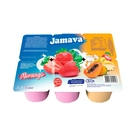 Bebida Láctea Morango e Salada de Frutas Jamava 470g