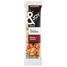 Barra de Cereal Mixed Nuts Nozes e Canela Agtal 30g