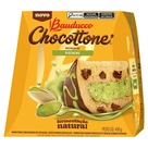 Chocottone Recheio de Pistache Bauducco 450g