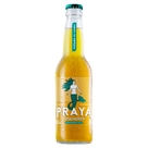 Cerveja Lager Puro Malte Premium Praya 355ml