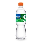 Água Mineral com Gás Select 510ml