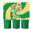 Iogurte Nestlé Neston® Polpa de Mamão, Maçã e Banana 510G com 6 unidades