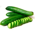 Pepino Japonês Unidade