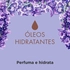 7891150106345_7-copia-24-08-2026-15-32-53-141