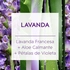 intellibrand_000000000000933280-UN_4