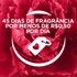 intellibrand_000000000000942142-UN_6