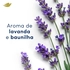 intellibrand_000000000000948160-UN_6