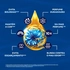 intellibrand_000000000000954300-UN_6