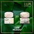 intellibrand_000000000000961558-UN_5