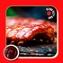 intellibrand_000000000000968094-UN_4