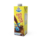 Leite Líquido Colônia Holandesa Sabor Chocolate 1L