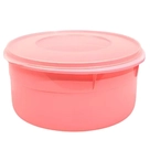Pote Hermético Porta Tudo Dup - 10 Litros