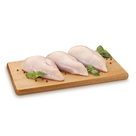 Filé de Peito de Frango resfriado bandeja 600g