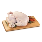 Frango Inteiro Resfriado 2,8kg