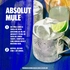 7312040017034-vodka-absolut-1-litro-sem-titulo16-5-16-04-2024-19-49-09-289