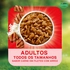 7891000426081-racao-umida-dog-chow_-nutricao-reforcada-para-caes-adultos-sabor-carne-em-filetes-com-arroz-85g-tenda-4-01-10-2026-13-22-25-542