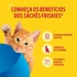 7891000434352-racao-umida-purina-friskies_-molho-cremoso-para-gatos-adultos-mar-de-sabores-80g-tenda-2-01-10-2026-13-10-19-622