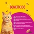 7891000454206-racao-seca-purina-friskies_-mix-de-carnes-para-gatos-adultos-850g-tenda-4-01-10-2026-13-43-23-997