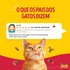 7891000454206-racao-seca-purina-friskies_-mix-de-carnes-para-gatos-adultos-850g-tenda-6-01-10-2026-13-43-35-138