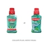 7891024136409-enxaguante-bucal-colgate-plax-fresh-mint-250ml-tenda-1-11-09-2026-10-13-33-341