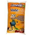 Bebida Láctea Salada de Frutas Vale Mix Comevap 900g