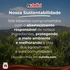 8000500464281-nutella_creme_de_avel_1_unidade_375g-tenda_6-10-09-2026-13-43-00-490