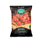 Fruta Congelada Morango Sempre Viva 1,02Kg