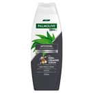 Shampoo Anticoceira Men Palmolive 350ml