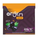 Sorbet Açaí com Guaraná Origem 5L