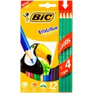 Lápis de Cor Evolution 12 Cores + 4 Lápis Preto Bic