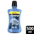intellibrand_000000000000933248-UN_1
