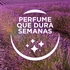 intellibrand_000000000000942271-UN_5