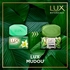intellibrand_000000000000961384-UN_5