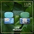 intellibrand_000000000000961398-UN_6